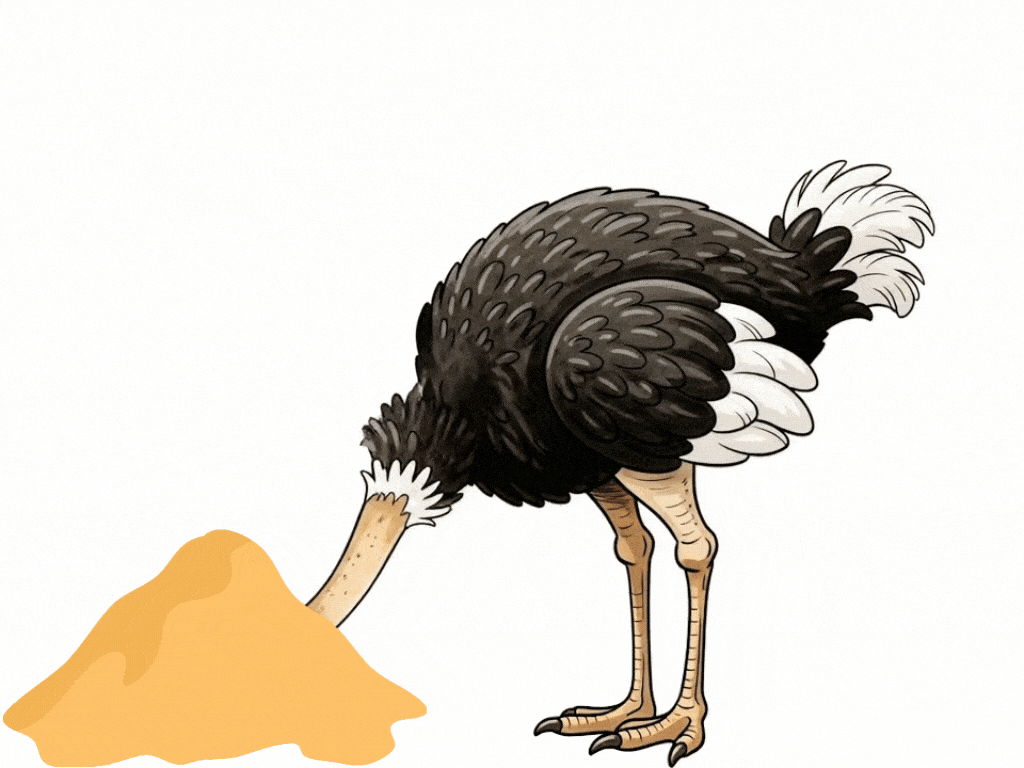 Ostrich Illustration